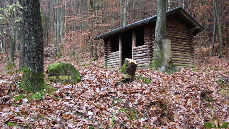 Ritterstein Nr. 021-3 Drei Eichen, Schutzhütte.JPG - Ritterstein Nr.21 Drei Eichen